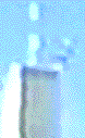fv_anim.gif
